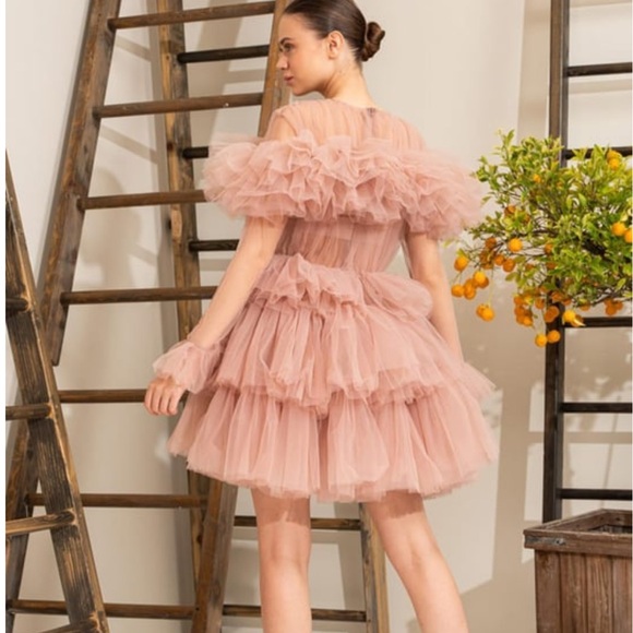 Elegant Pink Ruffled Long Sleeve Dress - Picture 7 of 7
